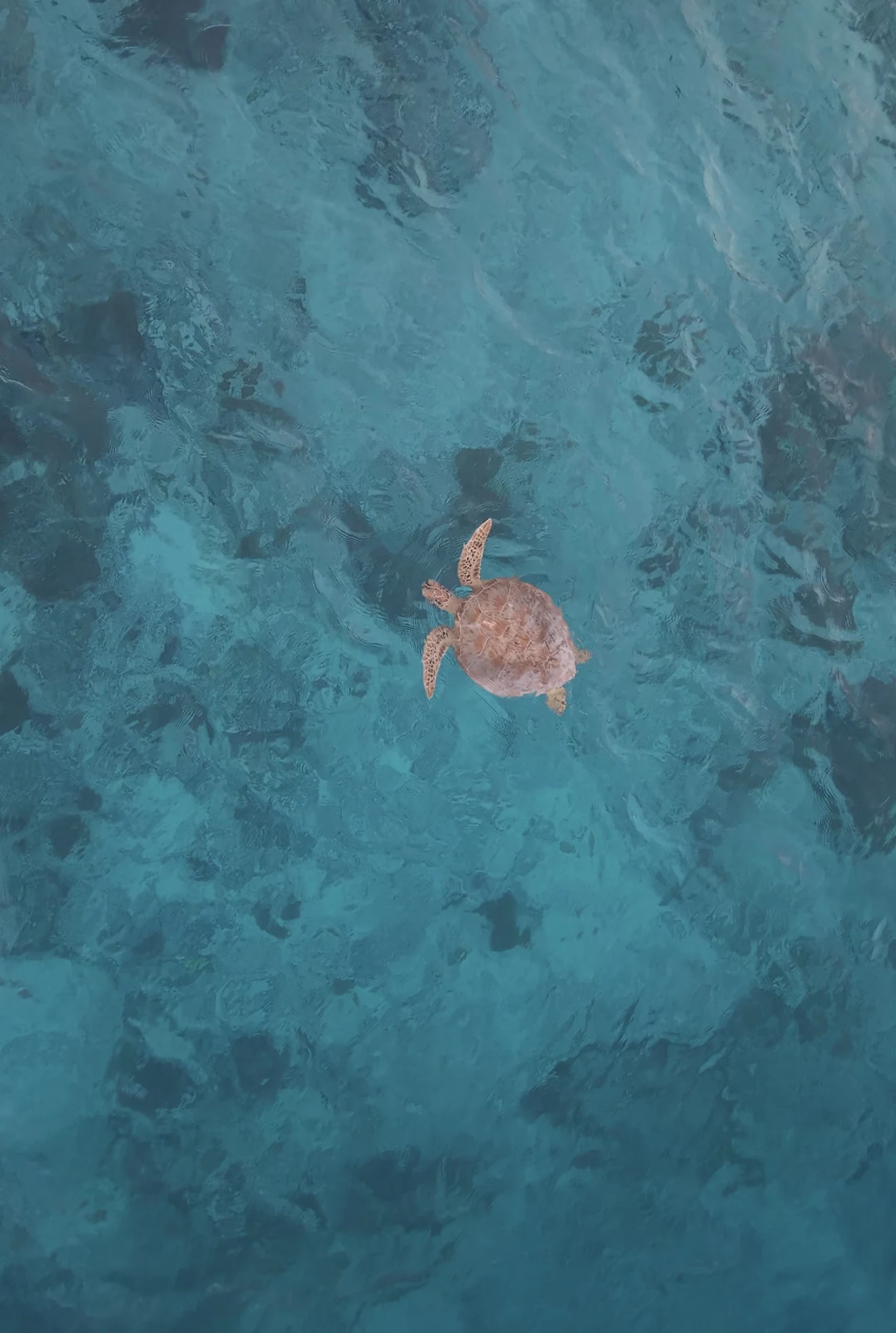 Gili Meno: a booking error that was worth the detour — 2