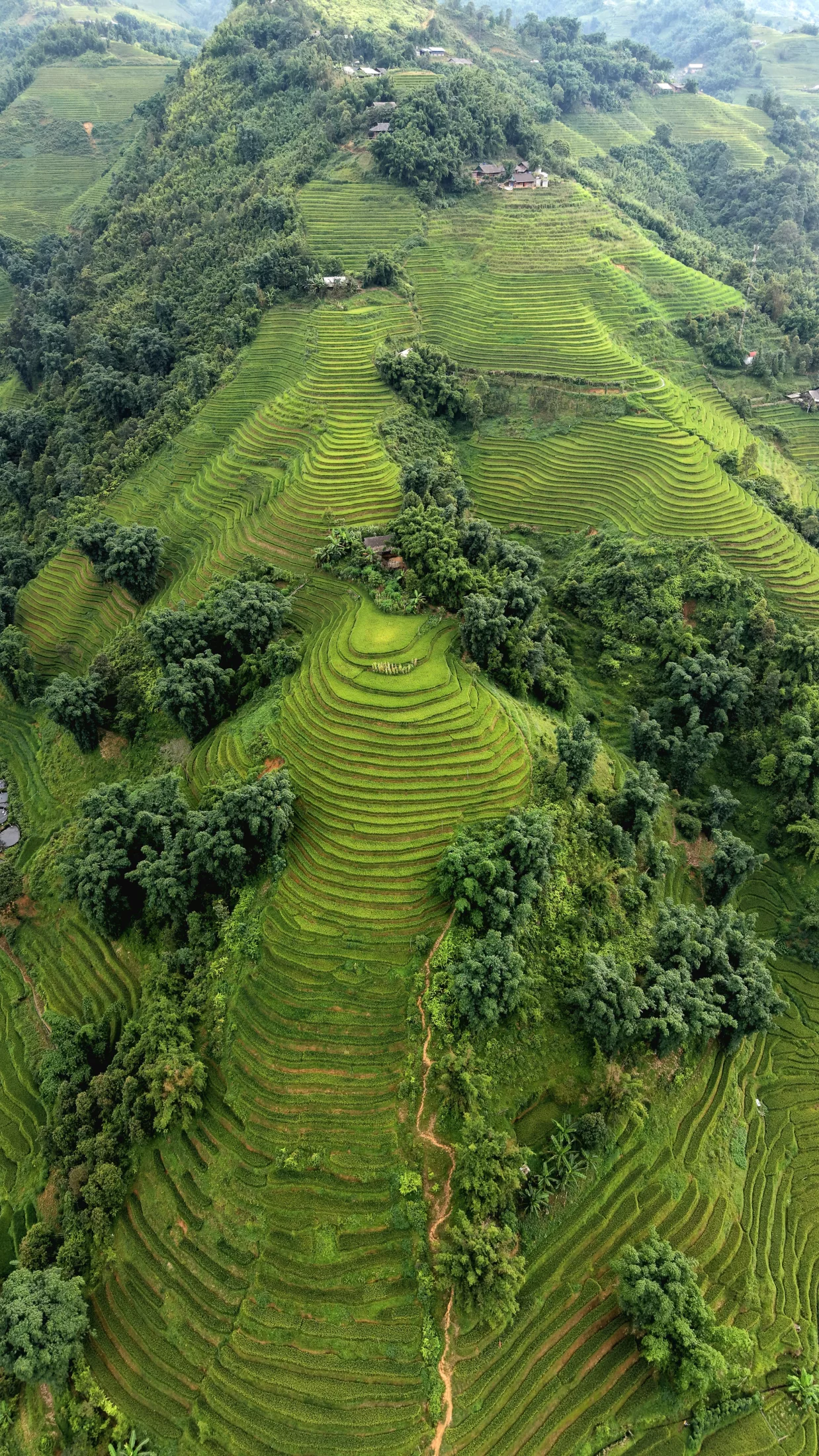 Sapa ou Sapaland ?