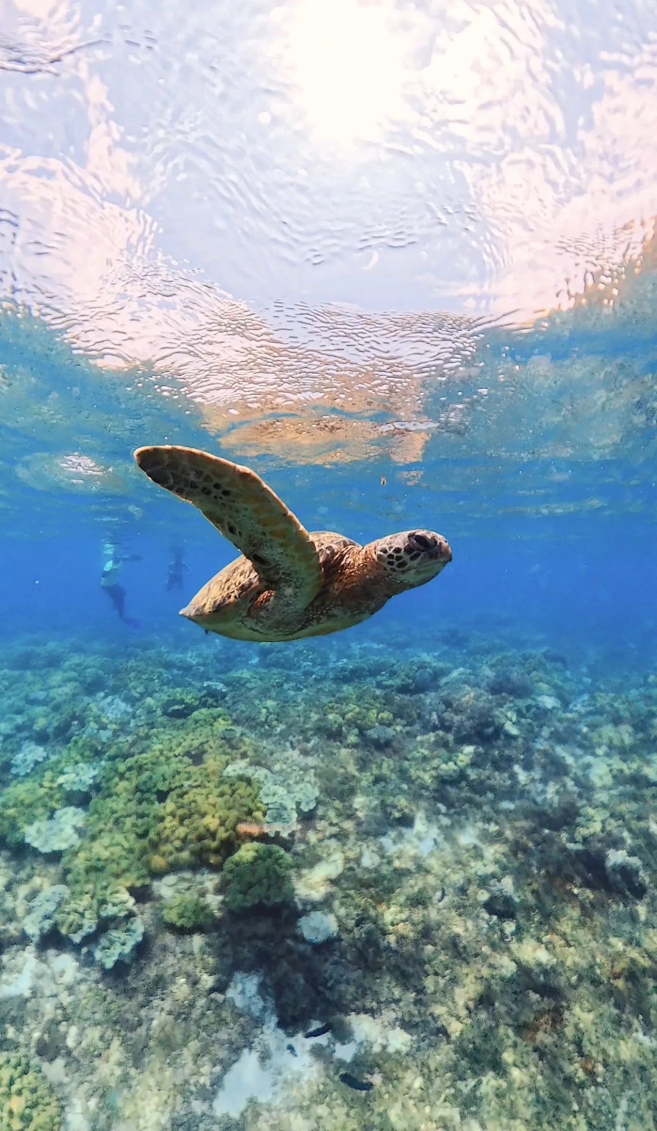 Siquijor, l’équilibre parfait entre nature, détente et ambiance festive