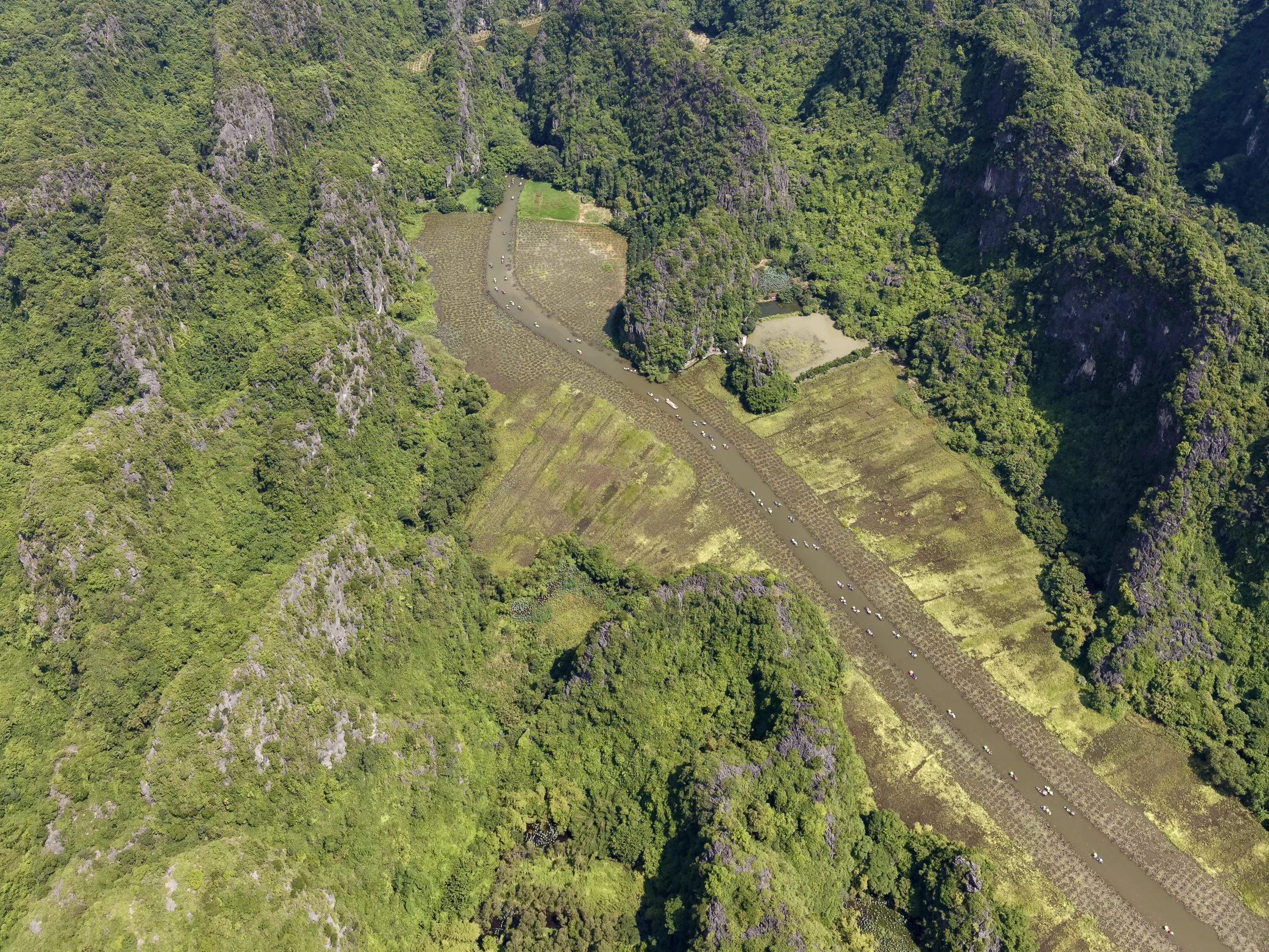 Tam Coc, une histoire de vélo, de canards et de rizières